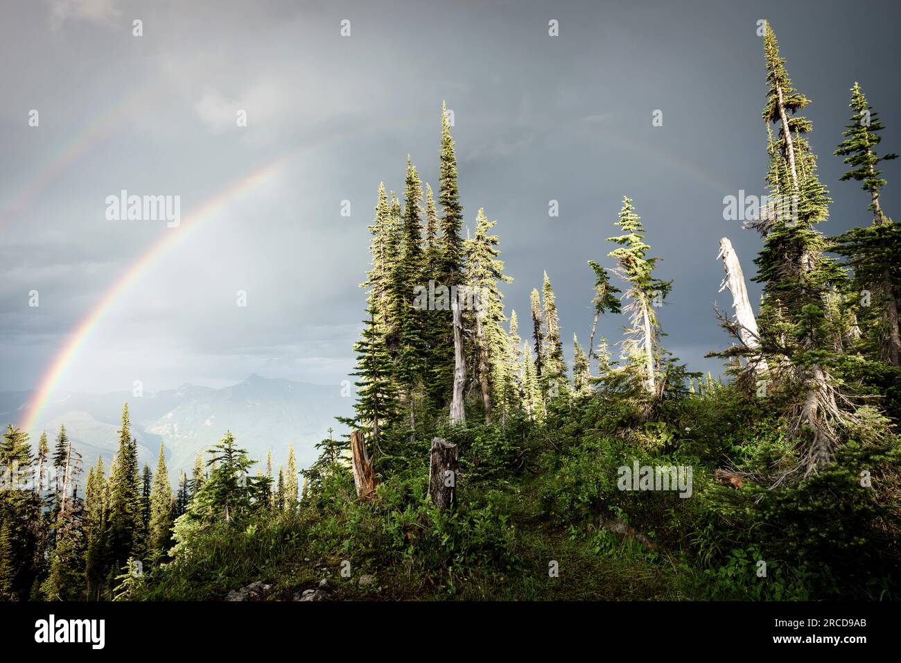 Doppio arcobaleno sulla foresta sulla montagna, British Columbia, Canada Foto Stock