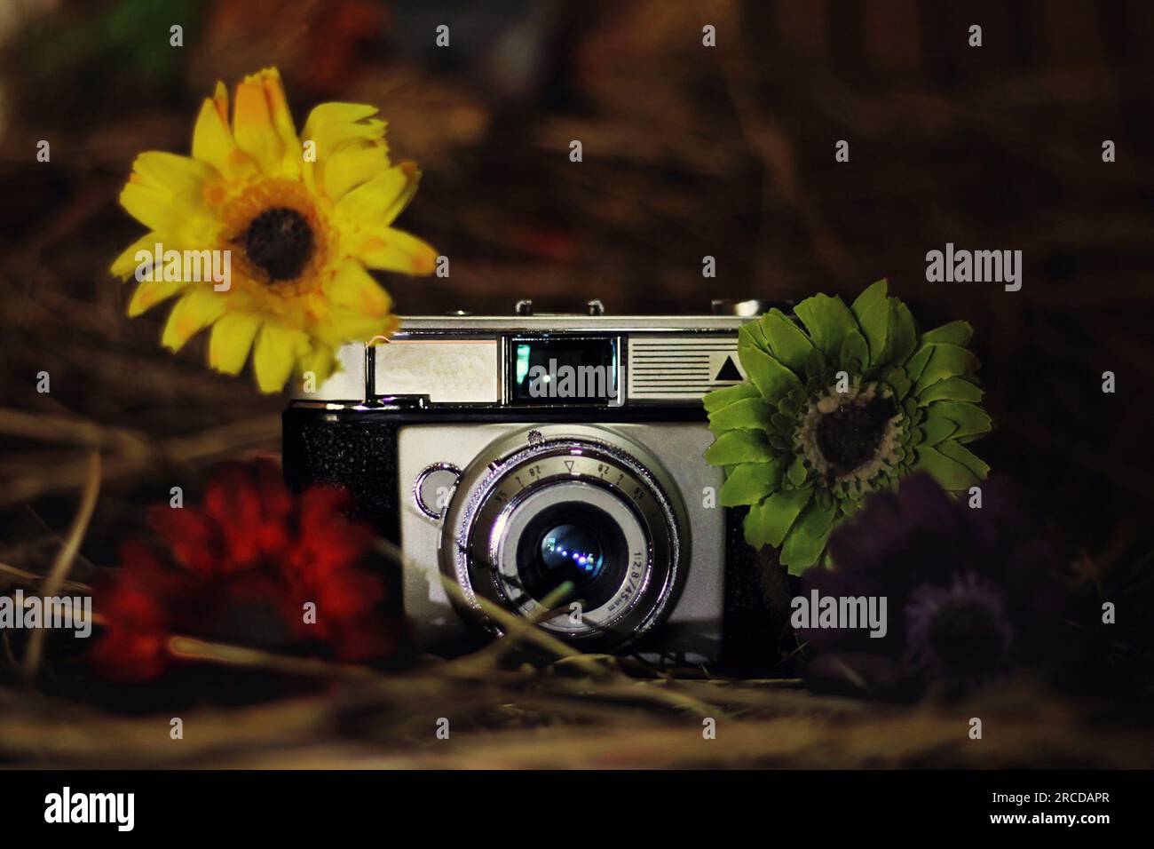 Telecamera analogica accanto ad alcuni fiori. Foto Stock Telecamera analogica accanto ad alcuni fiori. Foto Stock