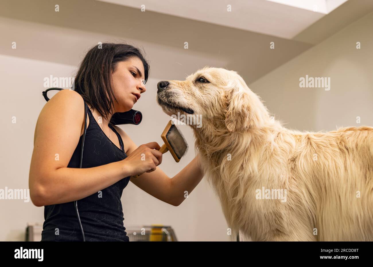 L'asciugatura e lo styling di un esperto nel salone di cura del corpo sono perfetti Foto Stock