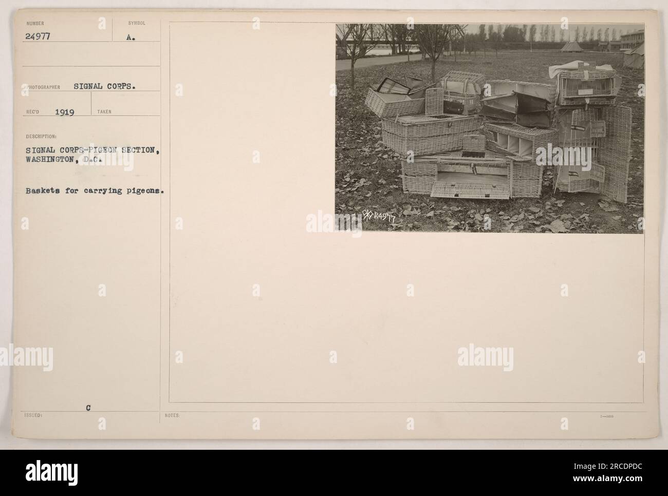 Cestini per trasportare piccioni nella Signal Corps Pigeon Section a Washington, D.C. durante la prima guerra mondiale. Fotografia numero 24977, scattata nel 1919 dal fotografo dei Signal Corps A. Sued. I cestini sono stati utilizzati per trasportare piccioni di trasporto per scopi di comunicazione. (Nota: Le specifiche devono essere verificate tramite fonti aggiuntive)" Foto Stock