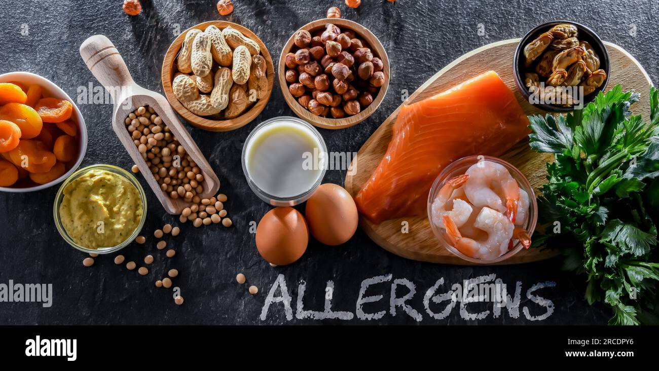Composizione con allergeni alimentari comuni, tra cui uova, latte, soia, noci, pesce, frutti di mare, senape, albicocche secche e sedano Foto Stock