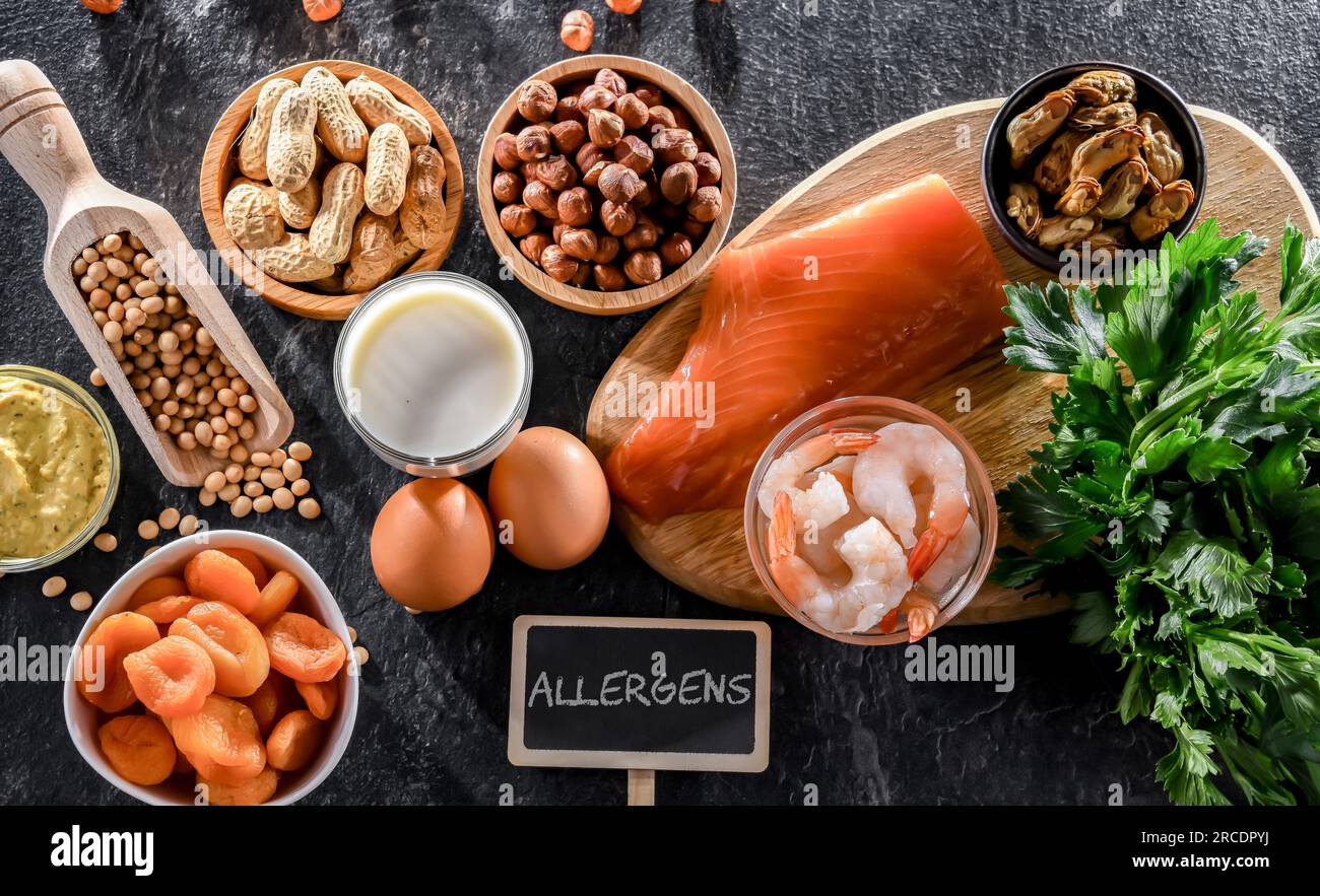 Composizione con allergeni alimentari comuni, tra cui uova, latte, soia, noci, pesce, frutti di mare, senape, albicocche secche e sedano Foto Stock