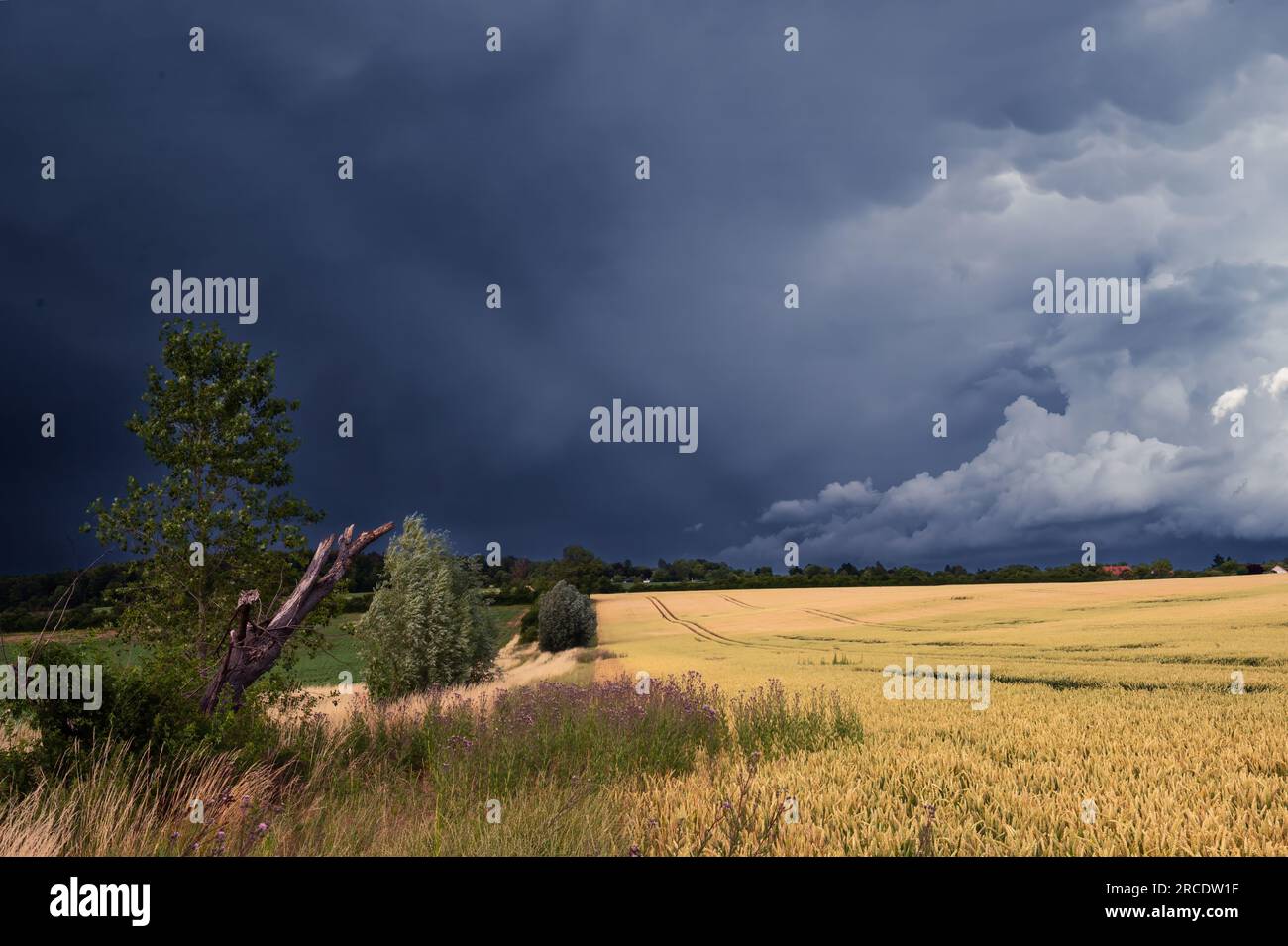 la spettacolare formazione di nubi si riflette sulla superficie dell'acqua del lago Foto Stock