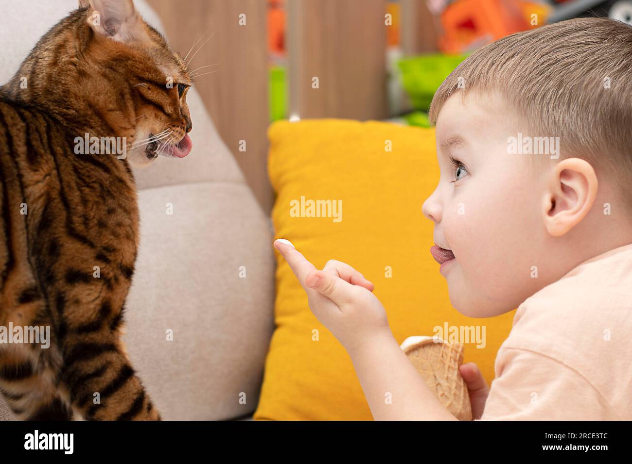 Il piccolo ragazzo caucasico nutre gatto bengalese con leopardo rosso a righe con gelato bianco in una tazza di waffle all'interno della casa. Primo piano. Messa a fuoco morbida. Foto Stock