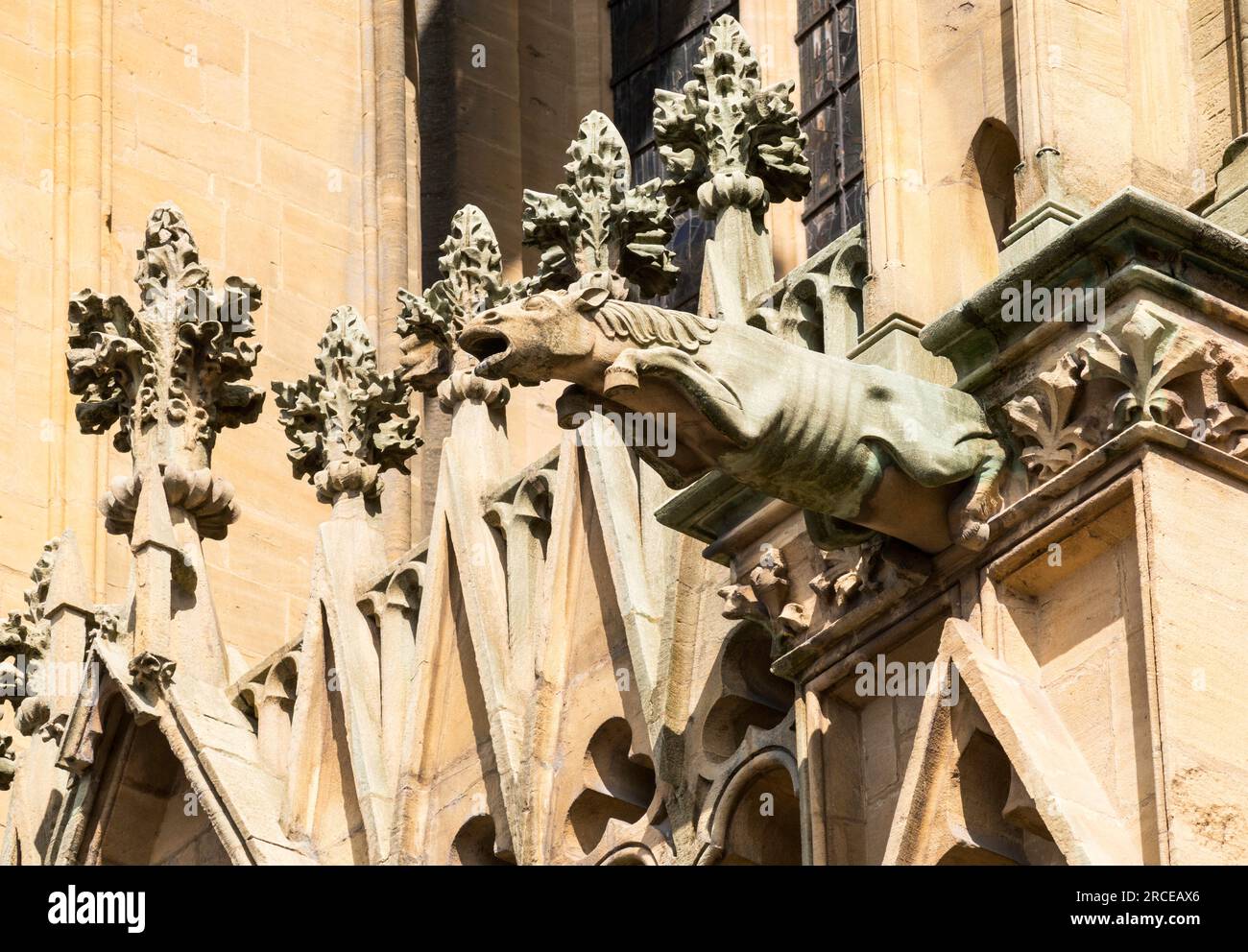 Vista dettagliata di un gargoyle sulla Cattedrale di Metz di Santo Stefano, Francia, Europa, Francia, Europa, Francia, Europa Foto Stock