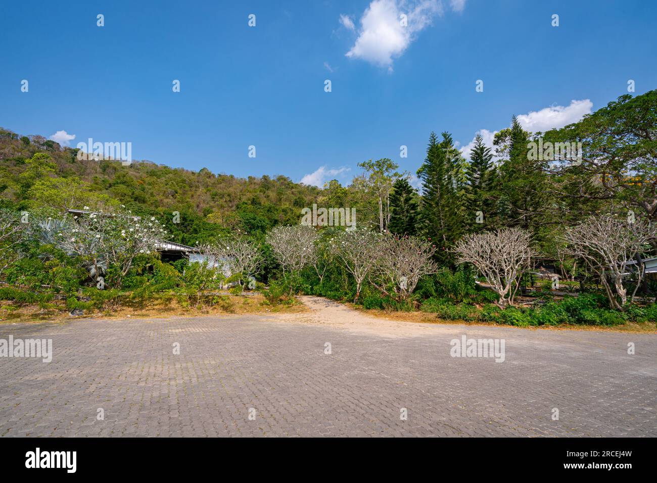 Il lago nello zoo all'aperto di khao kheow Foto Stock