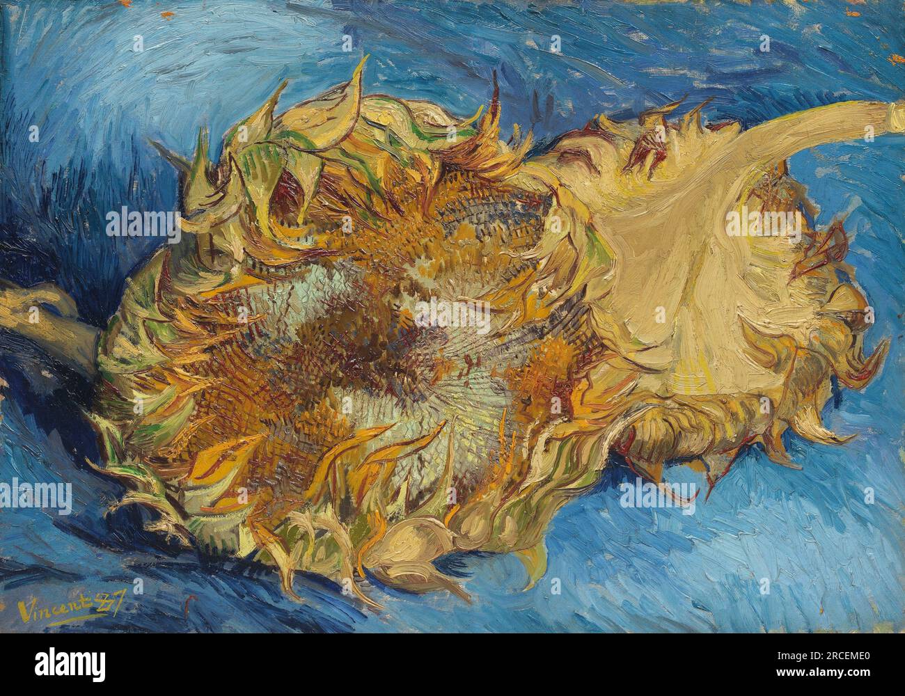 Natura morta con due girasoli 1887; Parigi, Francia di Vincent van Gogh Foto Stock
