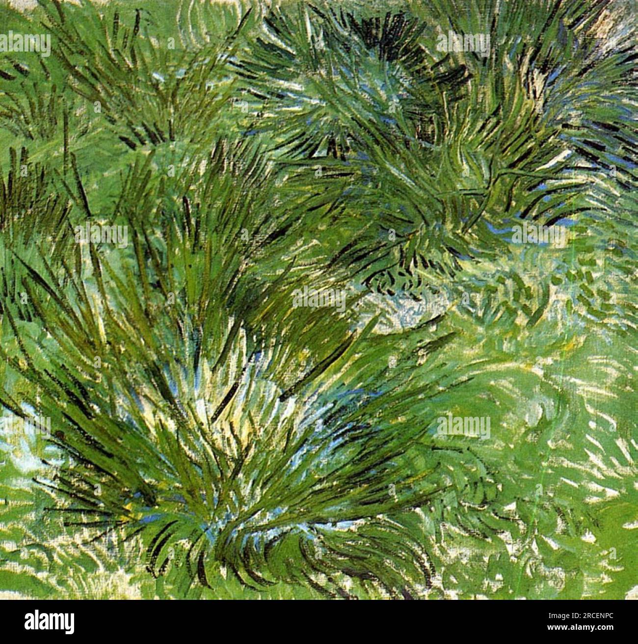 Clumps of Grass 1889; Francia di Vincent van Gogh Foto Stock