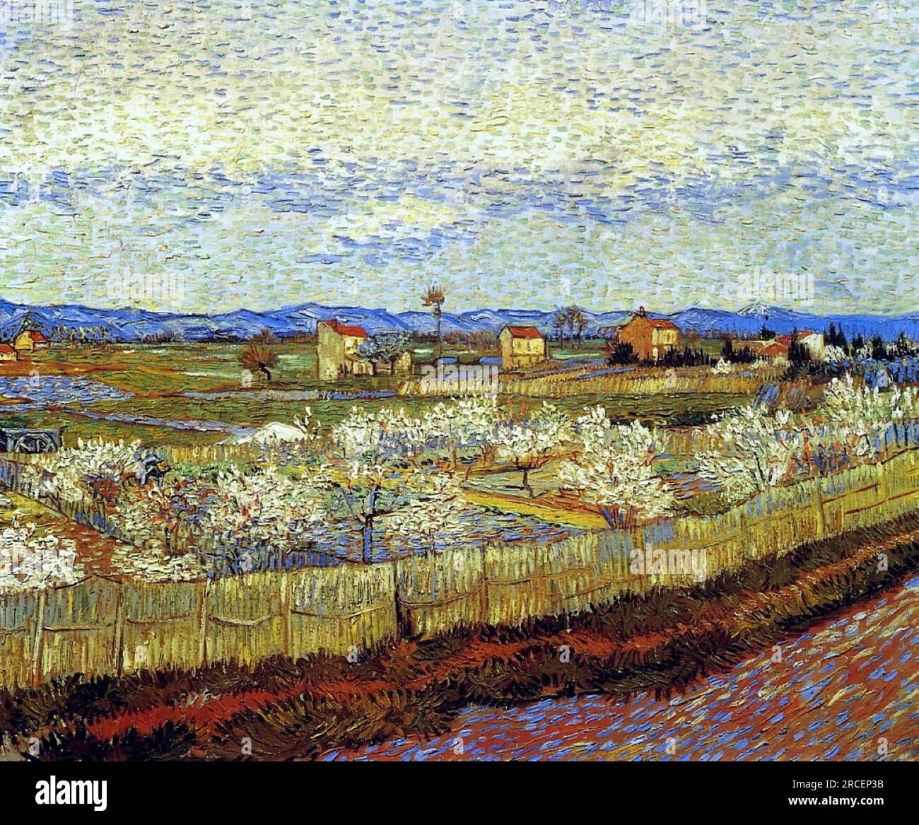 Peach Trees in Blossom 1889; Francia di Vincent van Gogh Foto Stock