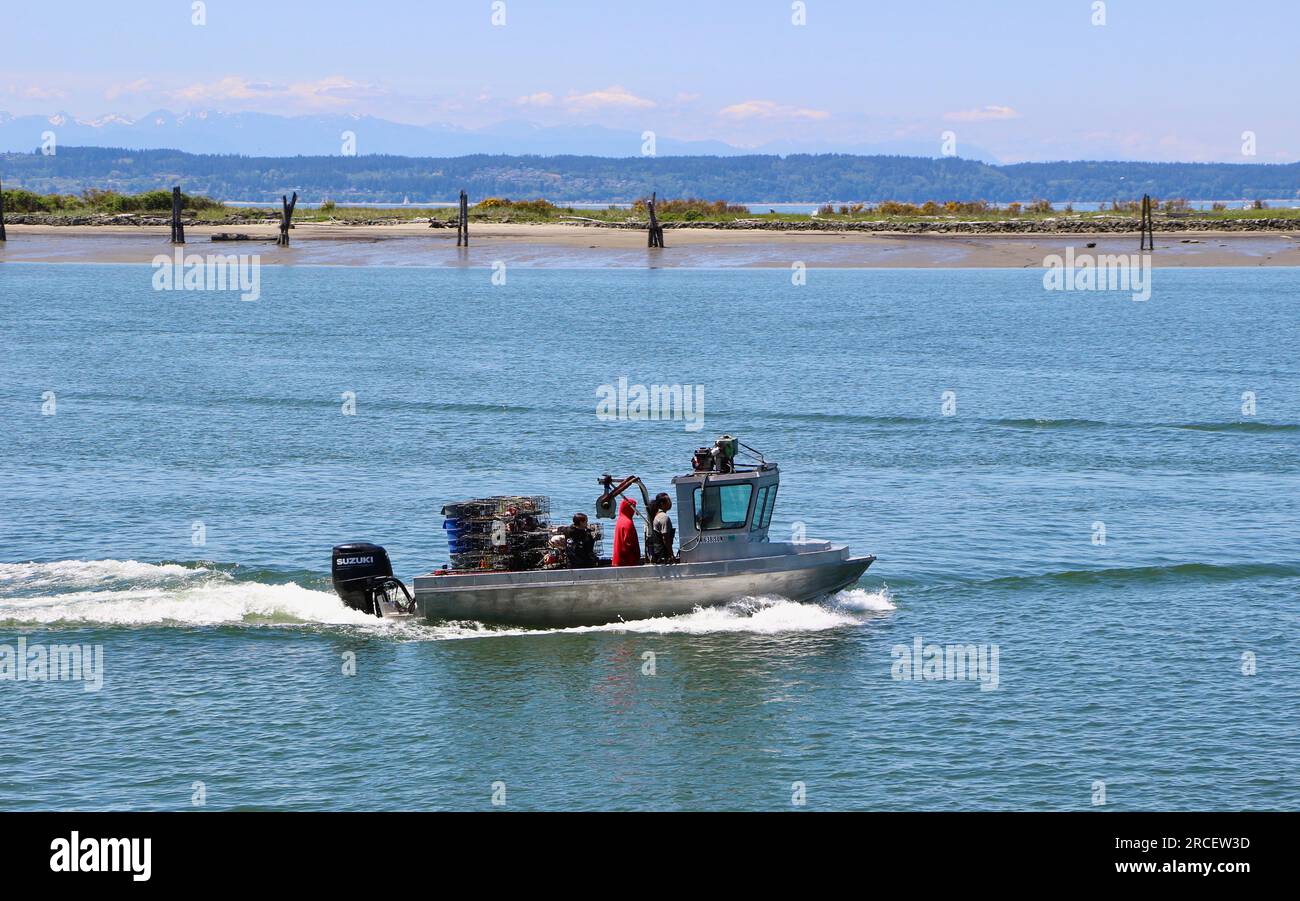 Piccola imbarcazione da pesca con trappole per granchi in corso passando per Jetty Island Seattle, Washington State USA Foto Stock