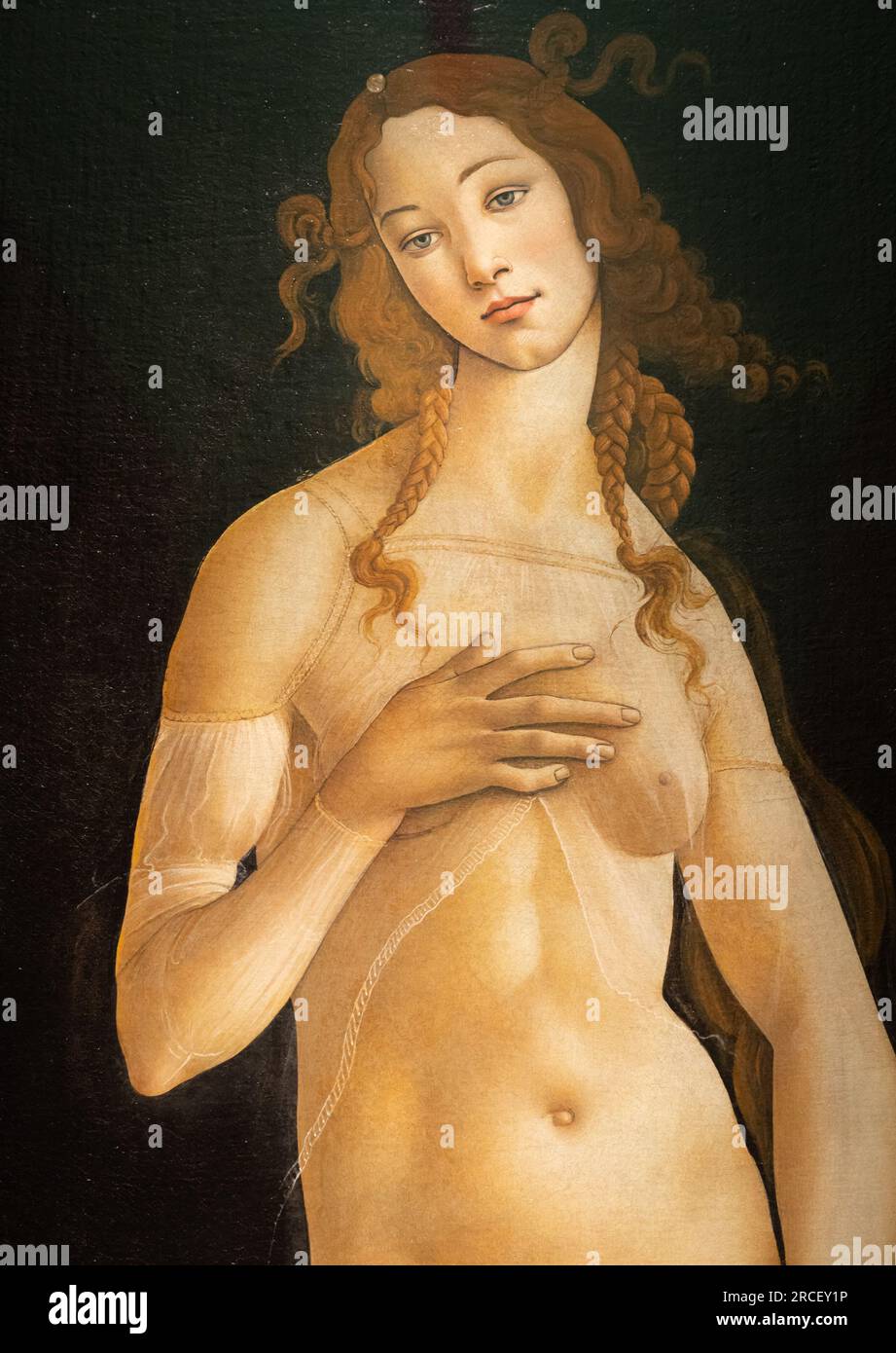 Torino, Italia - Aprile 2023: La pittura di Venere di Sandro Botticelli, olio su tela, 1490 Foto Stock