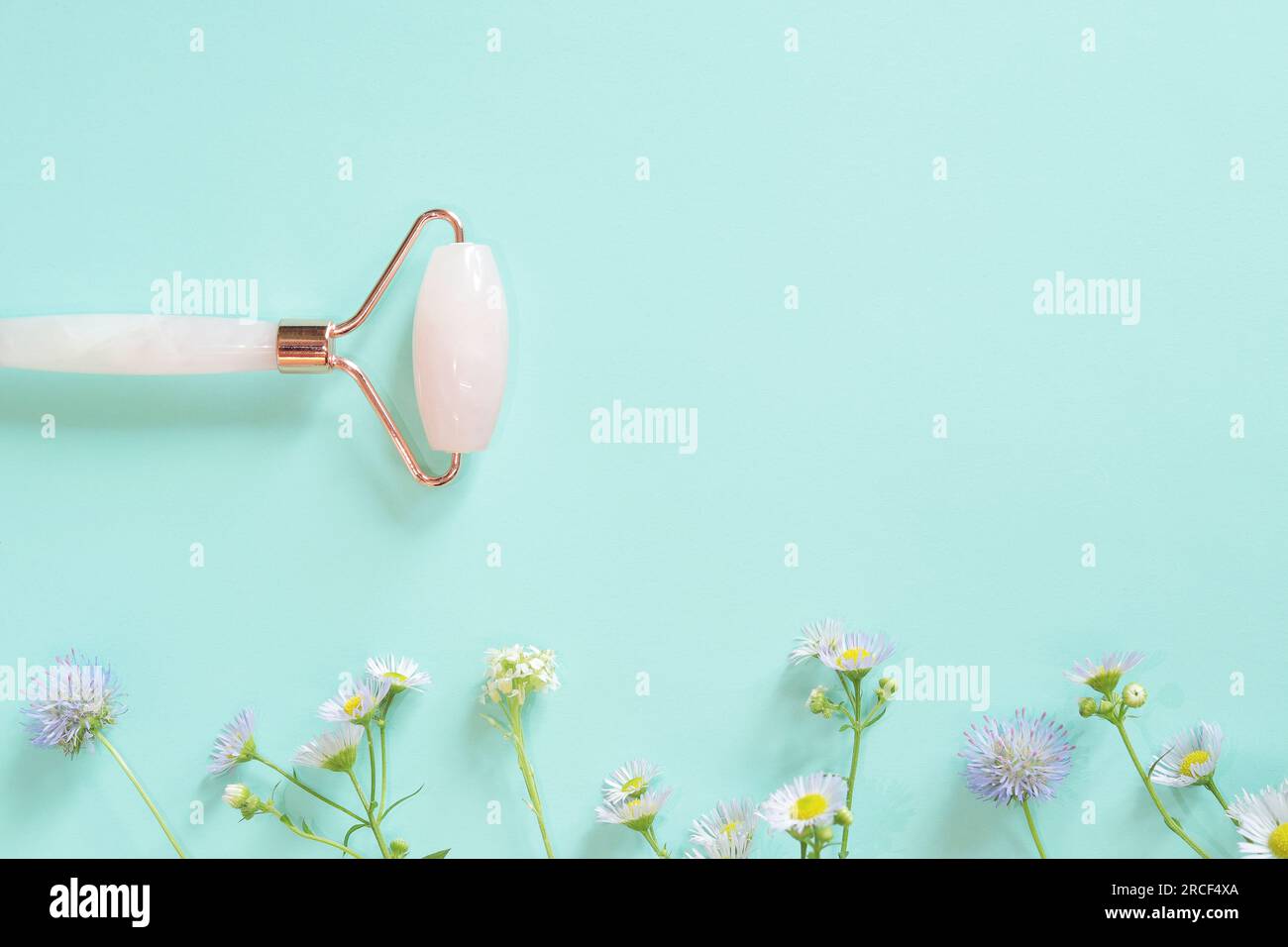 Rullo massaggiante per il viso in quarzo rosa su sfondo blu con fiori. Massaggiatore facciale antirughe e anti-invecchiamento, strumento per la cura della pelle Foto Stock