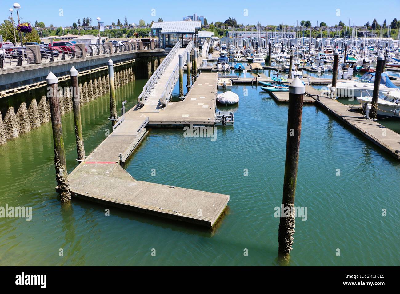 Yacht ormeggiati a Everett Marina Port Gardner Bay Seattle Washington State USA Foto Stock