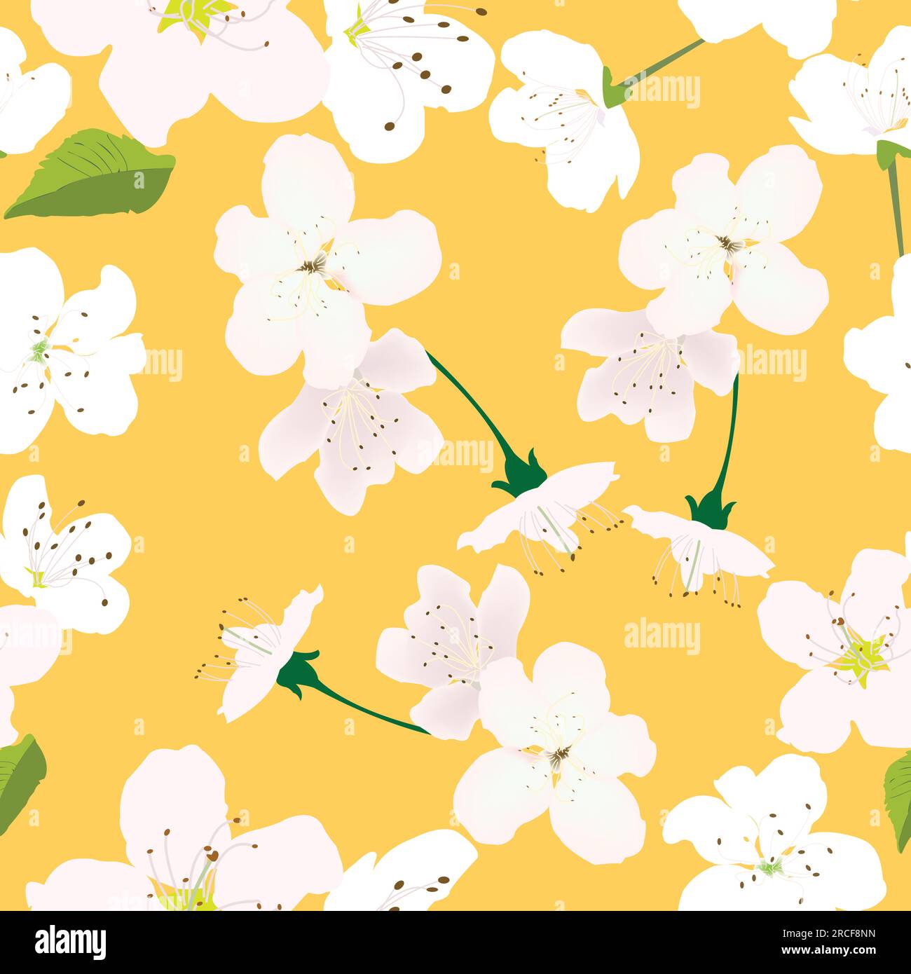 Motivo senza cuciture con fiori bianchi e sfondo giallo per le stampe; disegno con fiori di ciliegio bianchi con sfondo rosso Illustrazione Vettoriale