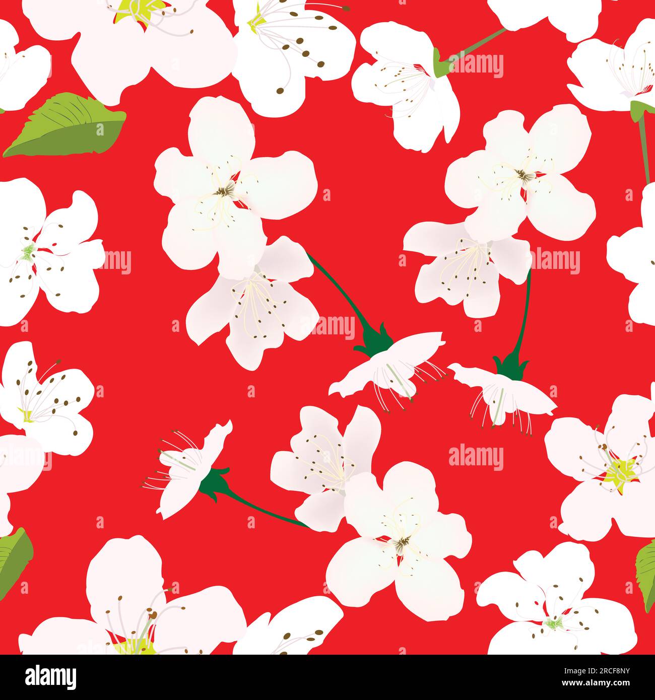 Motivo senza cuciture con fiori bianchi e sfondo rosso per stampe; fiori bianchi di ciliegio con sfondo rosso Illustrazione Vettoriale