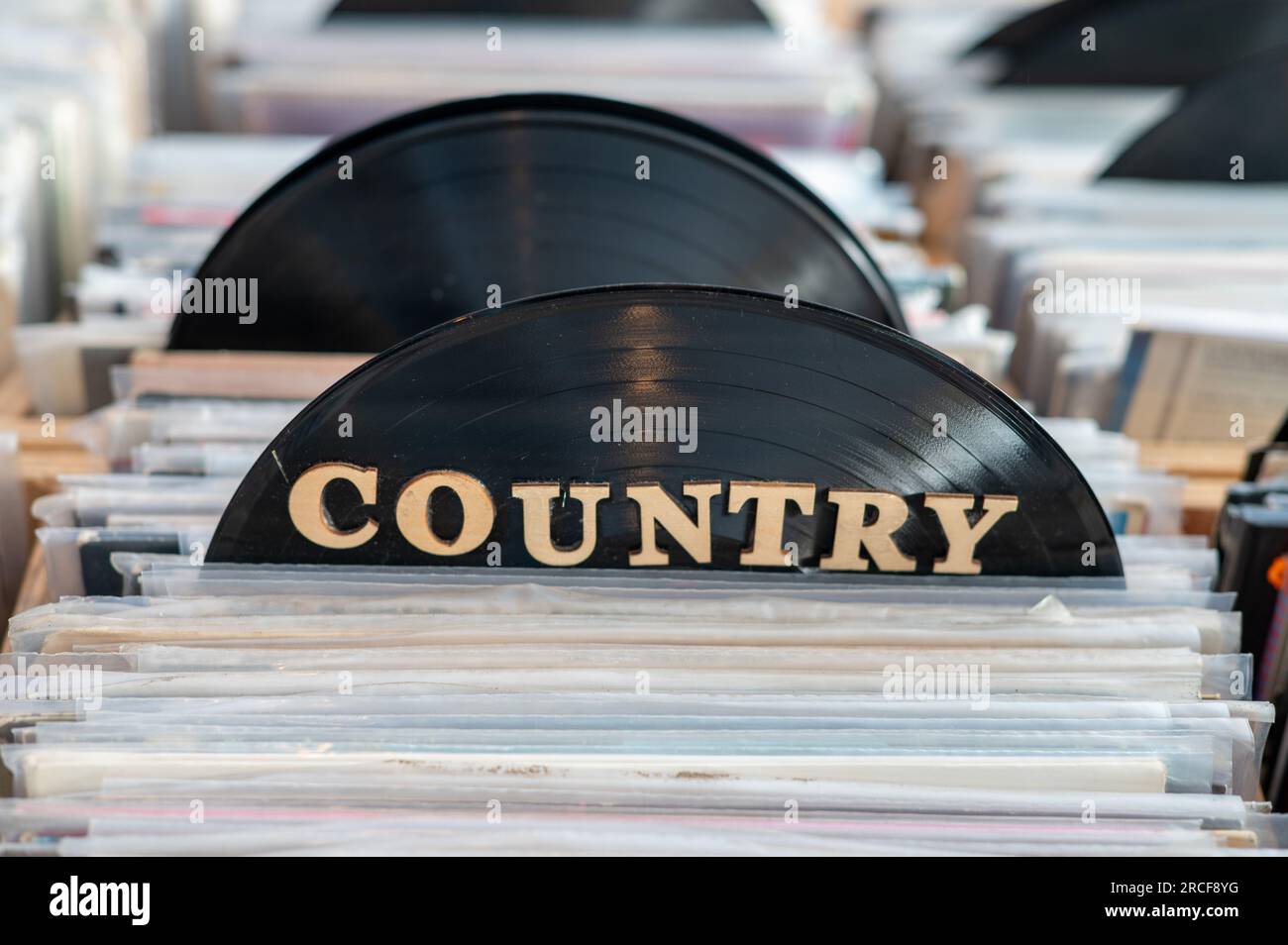 Selezione di musica in vinile all'interno del negozio Foto Stock