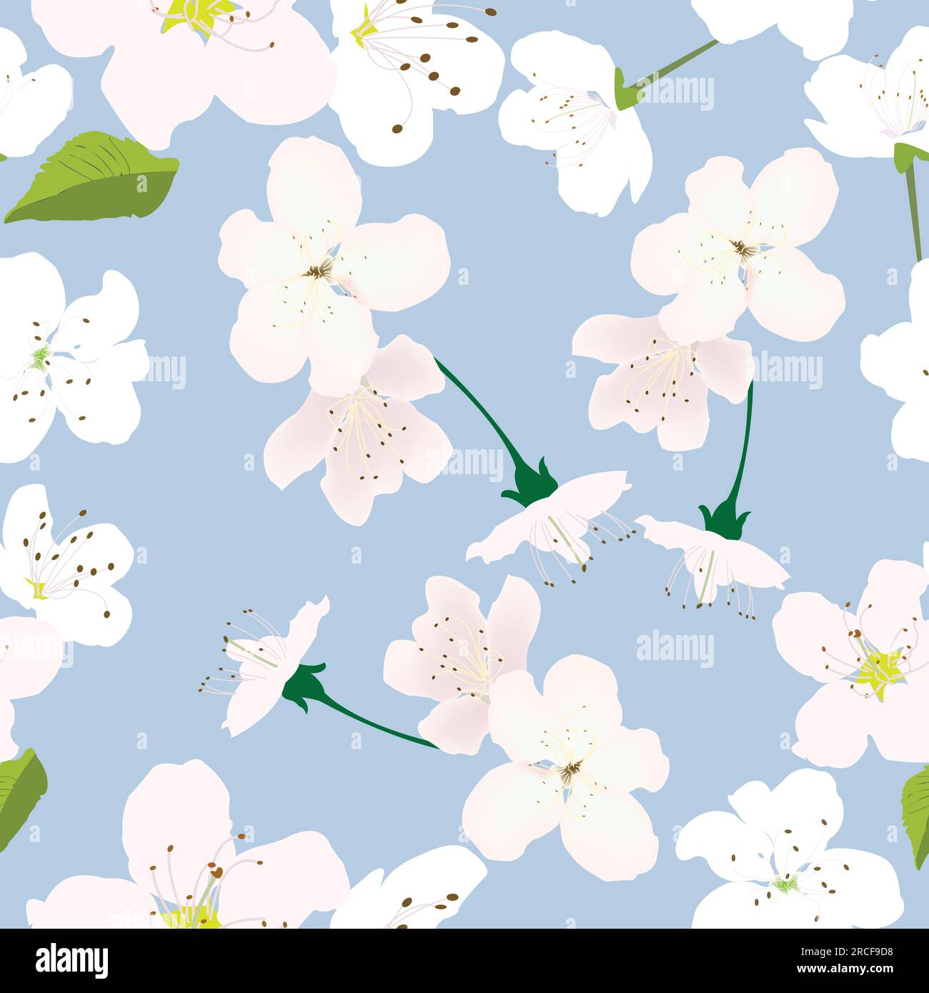 Motivo senza cuciture con fiori bianchi e sfondo blu pastello per le stampe; disegno con fiori di ciliegio bianchi con sfondo rosso Illustrazione Vettoriale