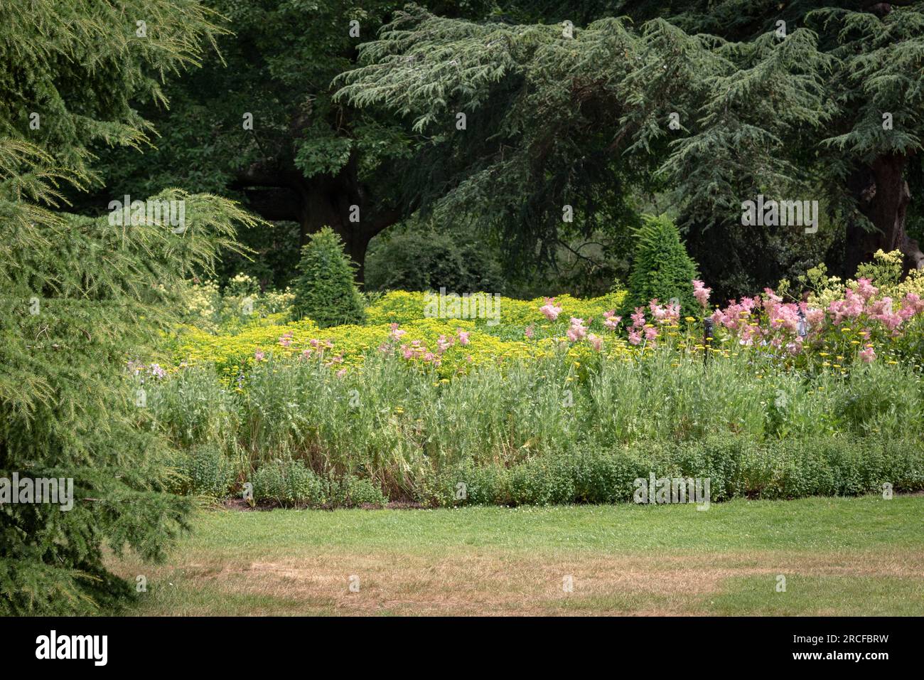 Splendida foto della natura e del paesaggio Foto Stock