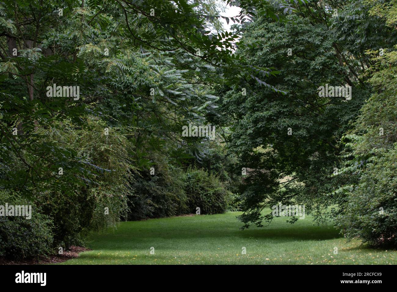 Splendida foto della natura e del paesaggio scattata a Londra Foto Stock