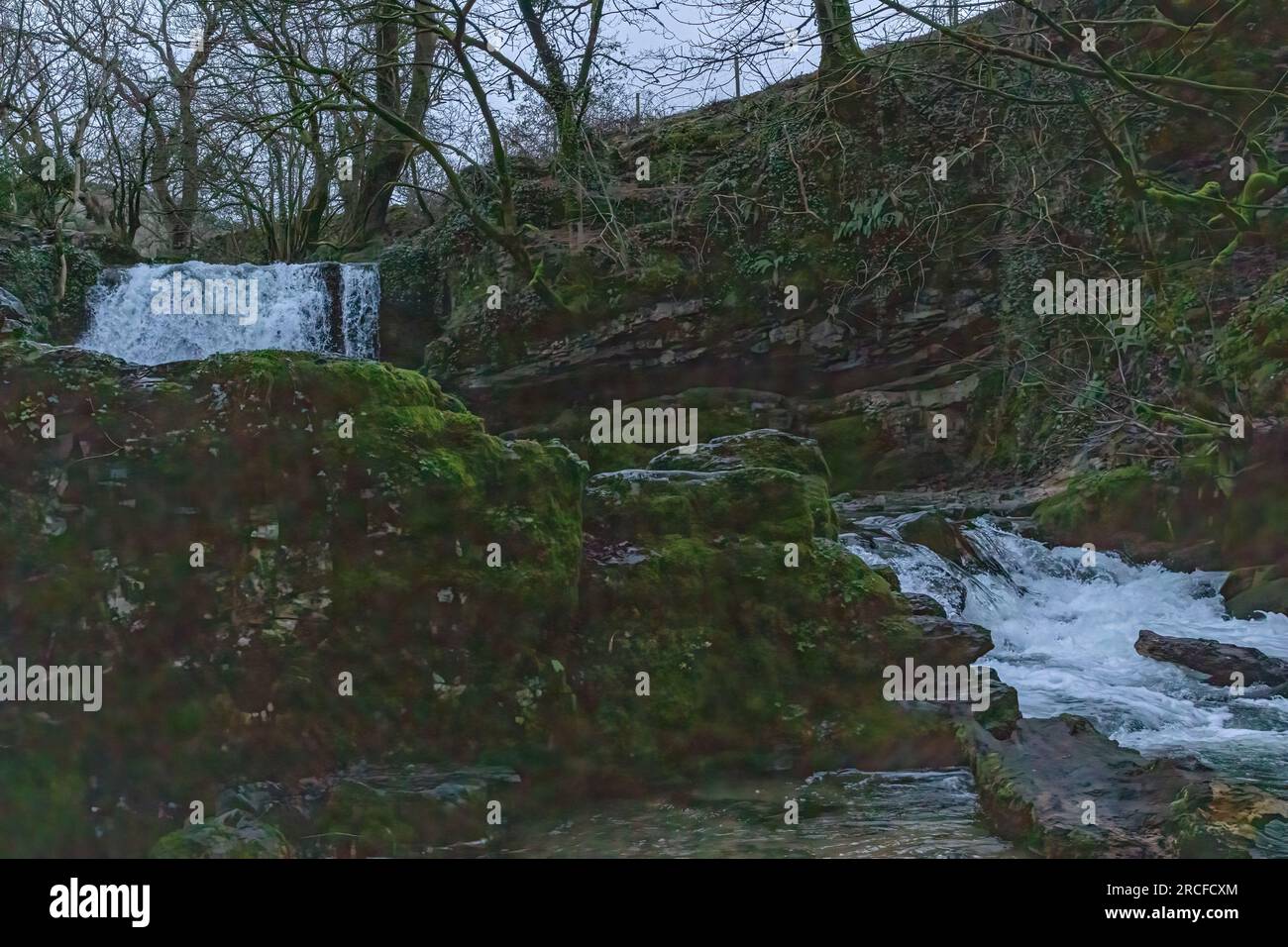 Splendida foto della natura e del paesaggio scattata a Londra Foto Stock
