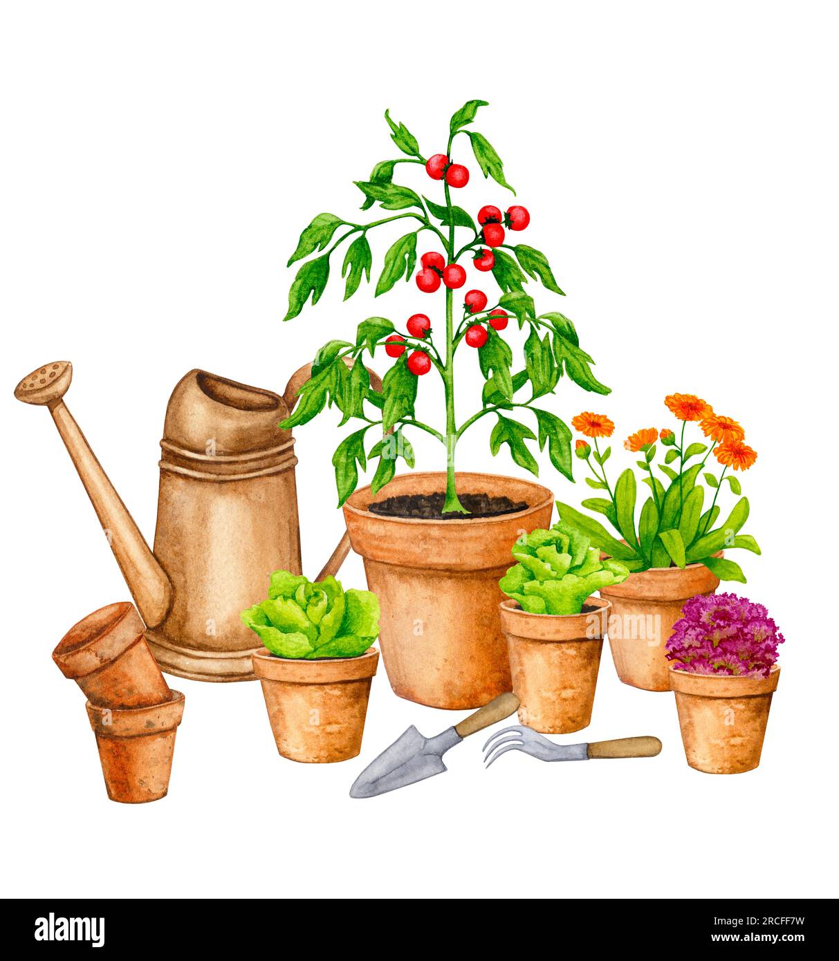 Verdure coltivate in vasi di argilla. Orto in contenitori. Composizione acquerello sul tema del giardinaggio, delle piantine primaverili, della coltivazione di ortaggi, Foto Stock