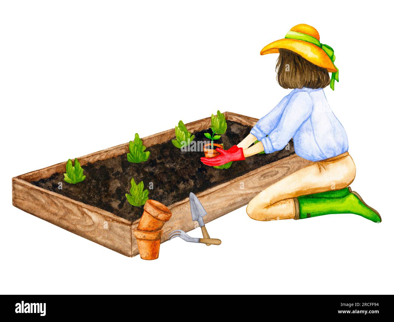 Una donna sta piantando piantine di verdure sui letti dell'orto. Lavori in giardino. Composizione sul tema del giardinaggio, piantine primaverili, coltivazione V Foto Stock