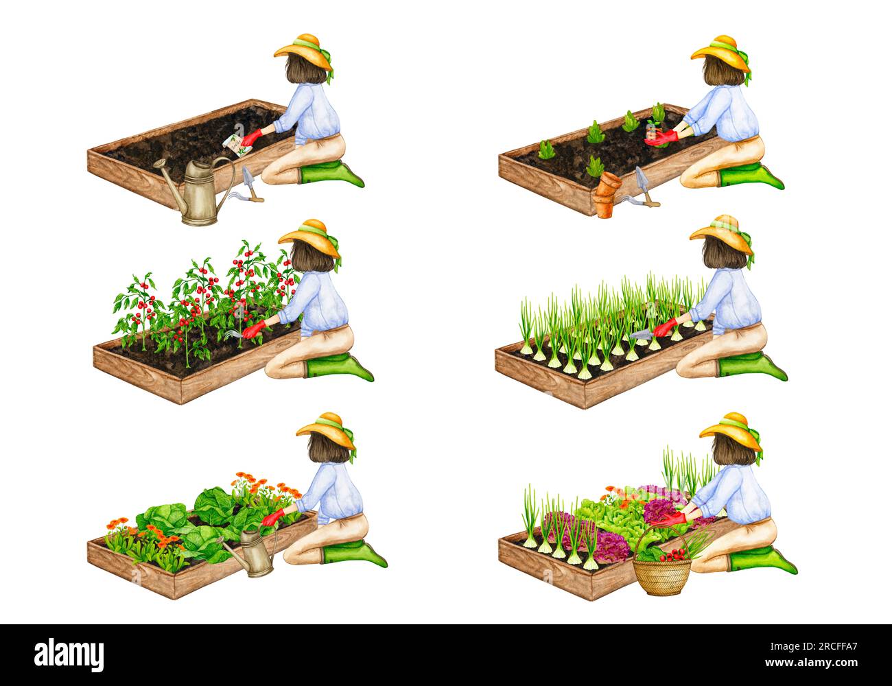 Donna al lavoro in giardino. Una serie di composizioni acquerellate sul tema del giardinaggio, delle piantine primaverili, della coltivazione delle verdure, della raccolta. Foto Stock