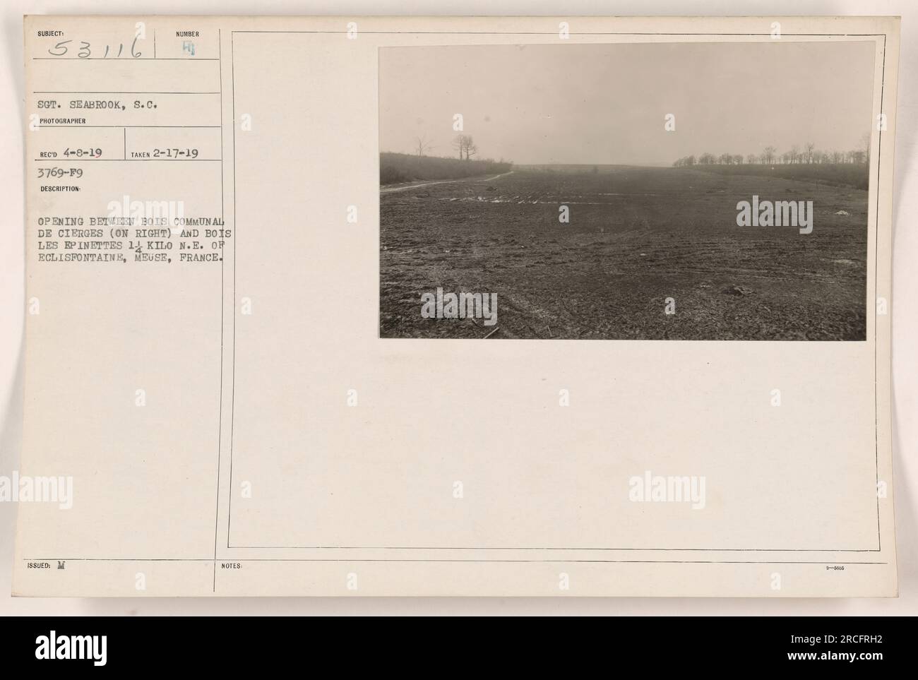 Una fotografia di un'apertura tra Bois Communal de Cierges e Bois les Epinettes, situata a 1/4 chilometri a nord-est di Eclisfontaine, Mosa, Francia. La foto è stata scattata l'8 aprile 1919 dal sergente Seabrook. Il numero della descrizione è 188UED: M, e la fotografia è stata originariamente scattata il 17 febbraio 1919. Foto Stock