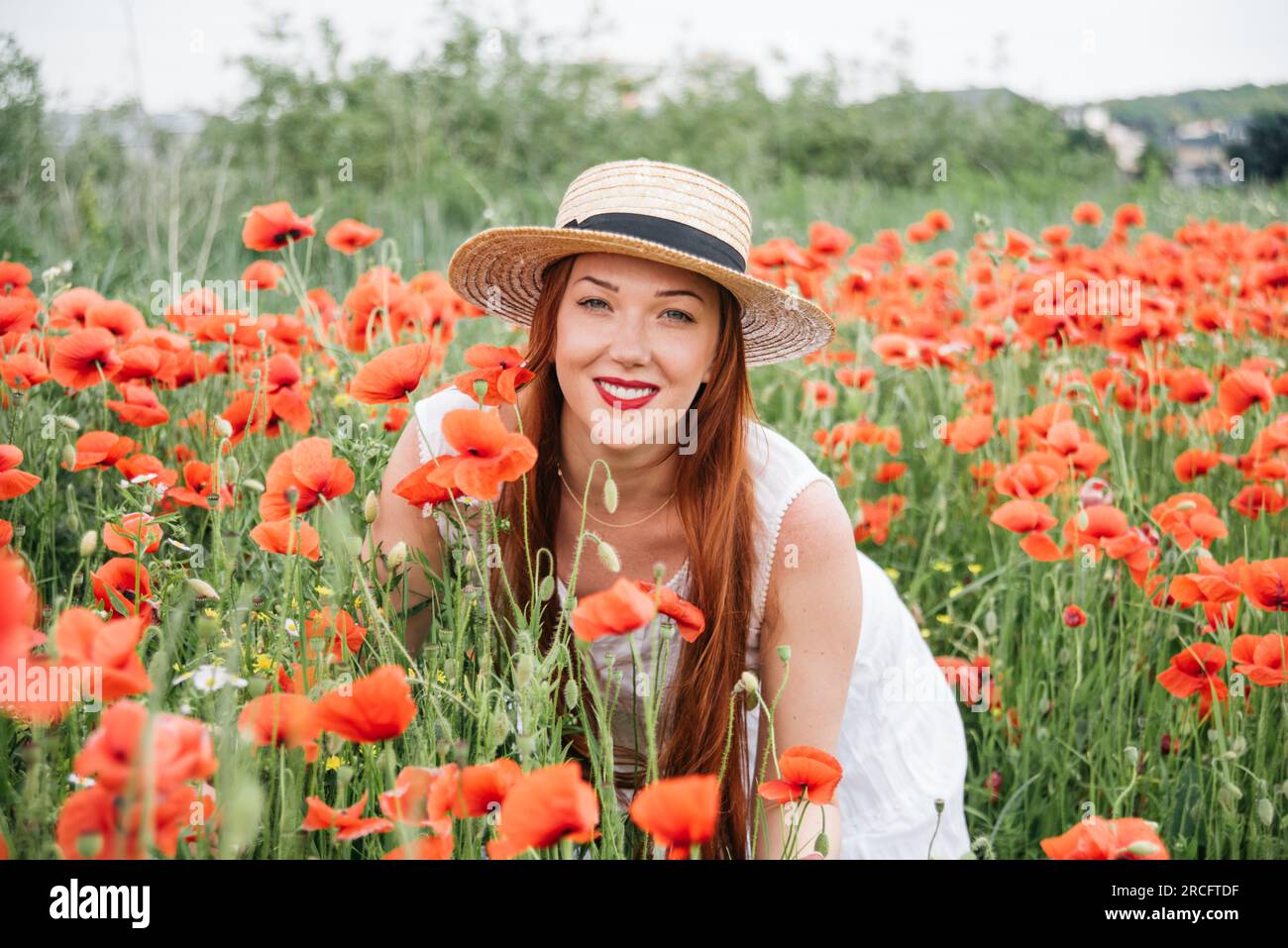 Bella donna Ucraina in poppies campo ritratto all'aperto. raccolta di papaveri e fiordaliso in campo estivo. Simbolo di memoria papaveri in fiore. Giorno della Costituzione degli ucraini. Foto Stock