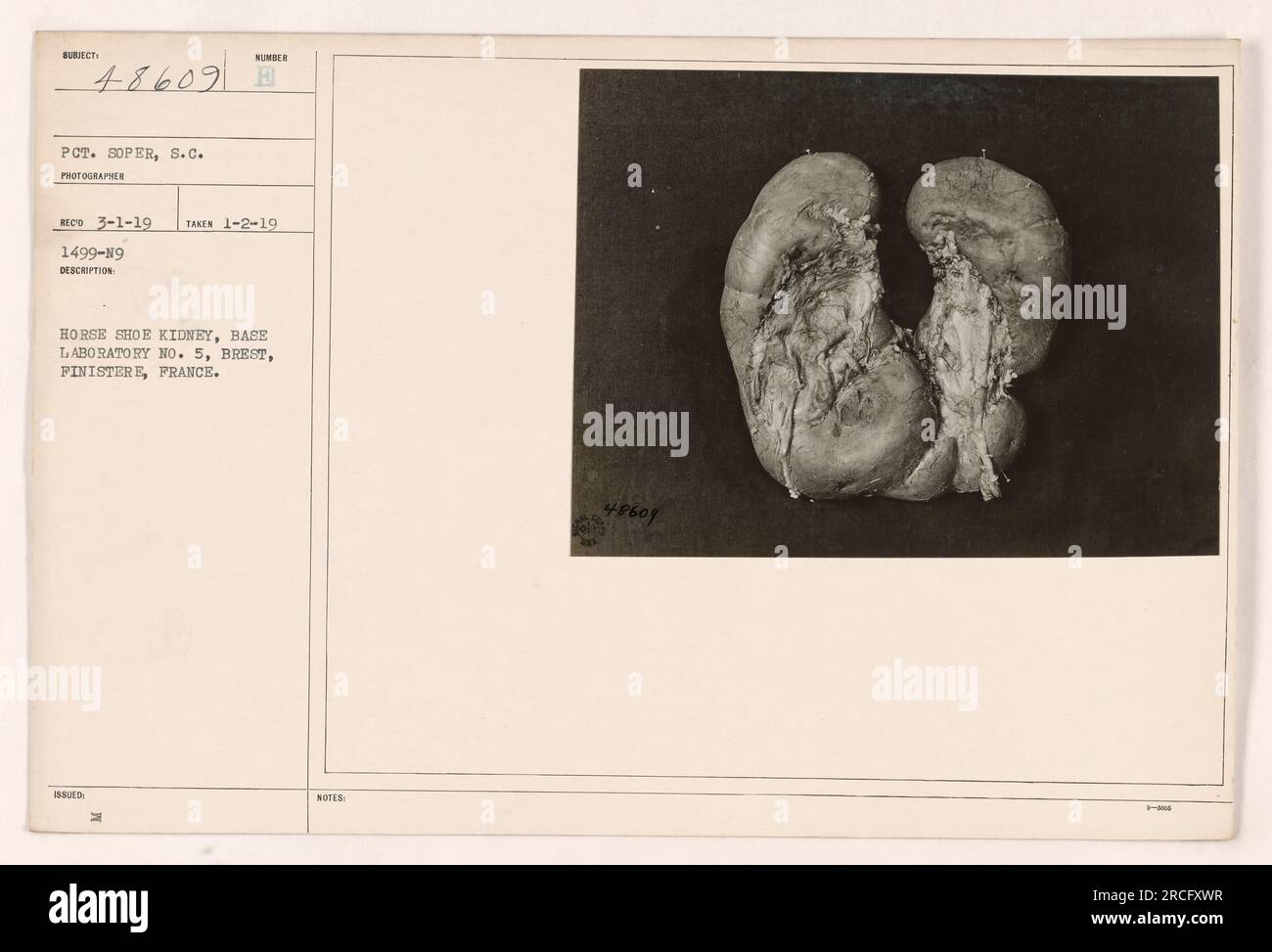 Soldier Technician S.C. Soper di fronte a un laboratorio di base (laboratorio di base n. 5) a Brest, Finistere, Francia. La fotografia mostra una struttura renale a ferro di cavallo nota come "Sumber B". Si noti che la fotografia è stata scattata il 2 gennaio 1919, e il numero di identificazione del soldato è 48609. Foto Stock