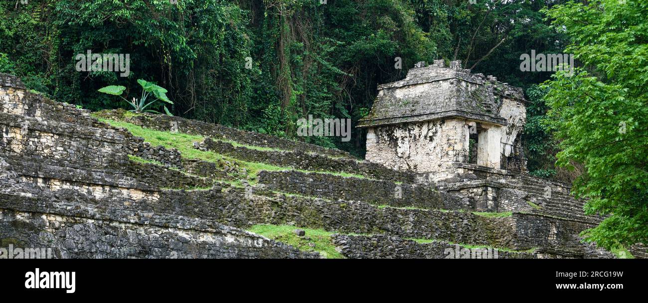 Tempio Maya a Palenque, Chiapas, Messico Foto Stock