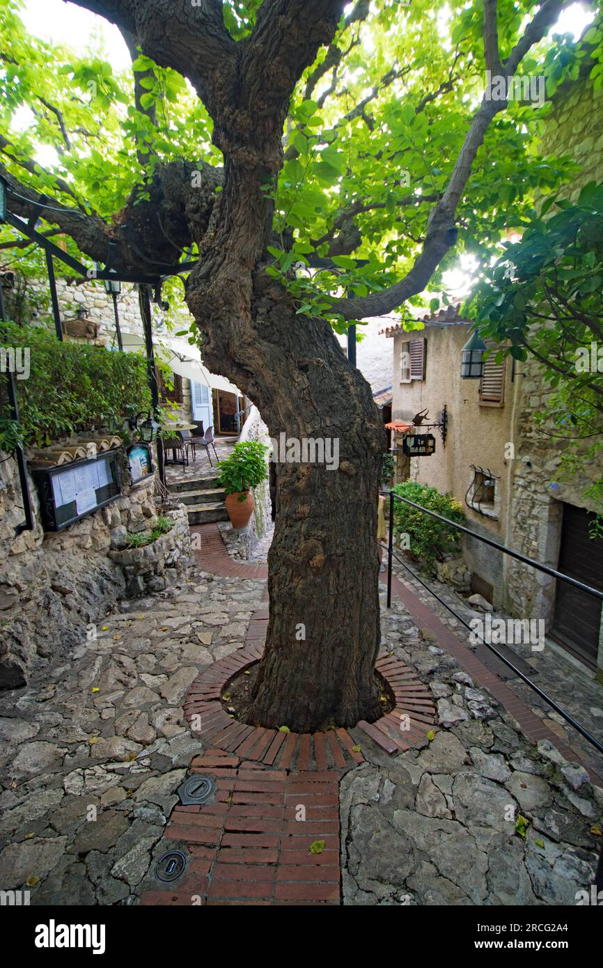 Crociera Azamara EZEcourtyard Foto Stock