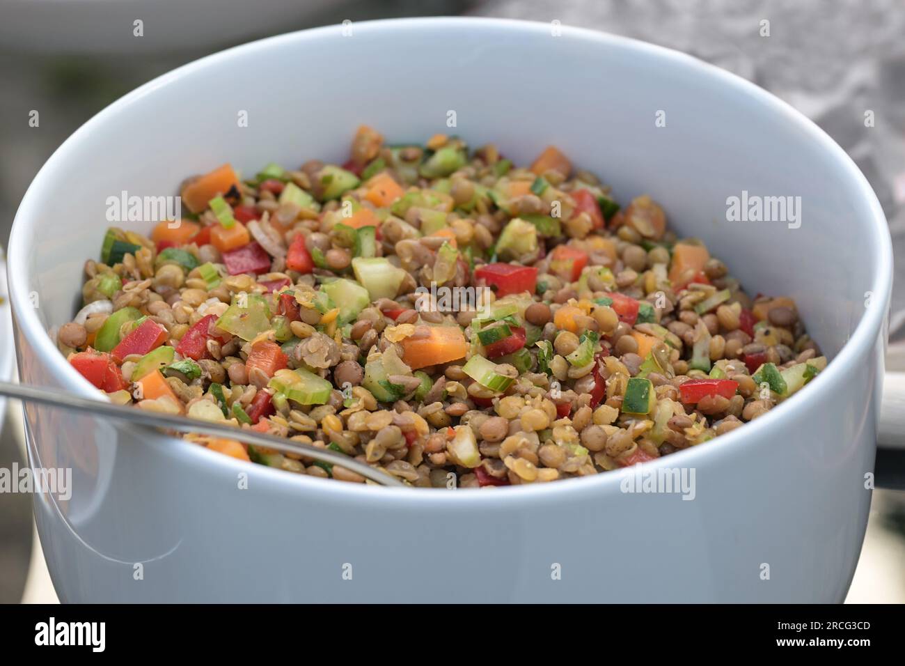 Insalata di verdure salutari di lenticchie con carota, peperone, sedano, spezie ed erbe in una ciotola bianca, messa a fuoco selezionata, profondità di campo ristretta Foto Stock