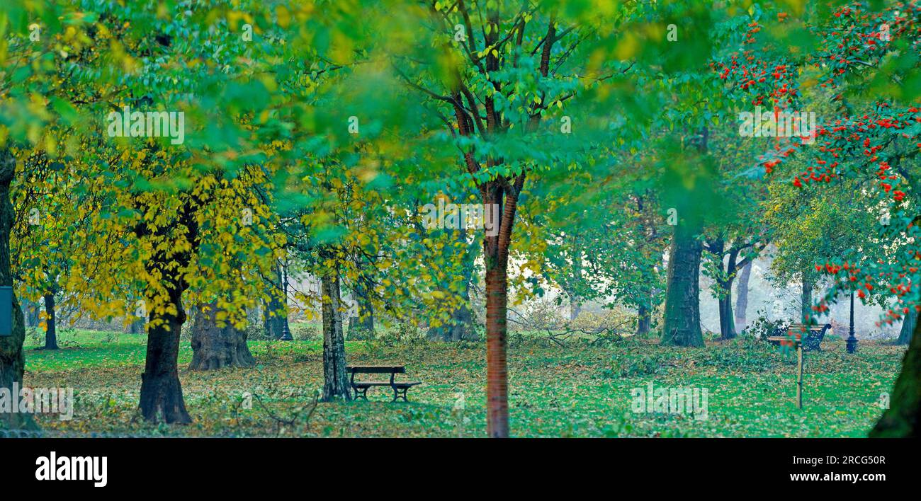 Hyde Park in autunno, Londra, Inghilterra, Regno Unito Foto Stock