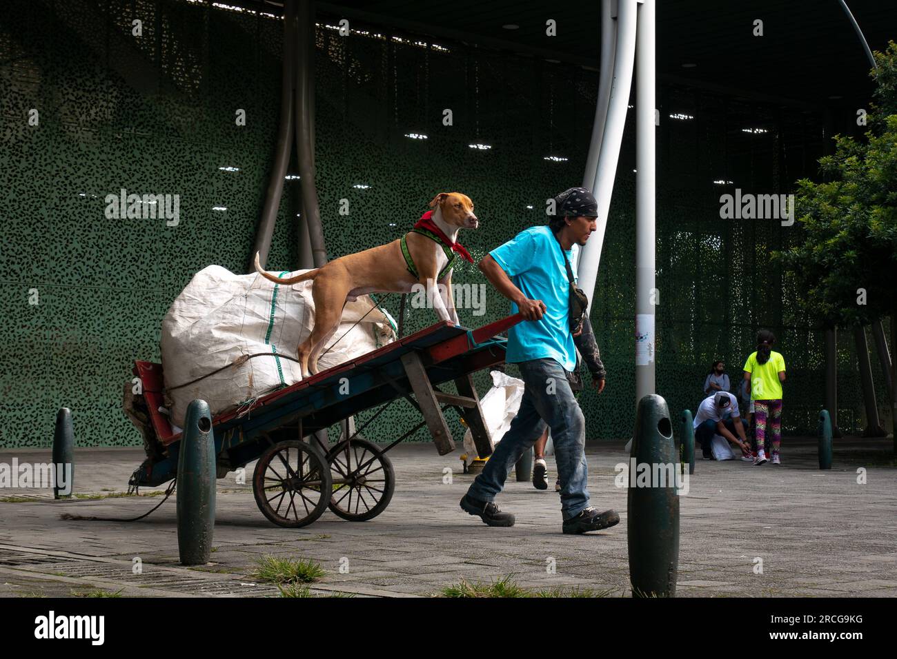 Medellin, Antioquia, Colombia - 3 giugno 2022: Giovane uomo che porta grandi sacchetti di spazzatura riciclata nella sua carriola con il suo cane Foto Stock