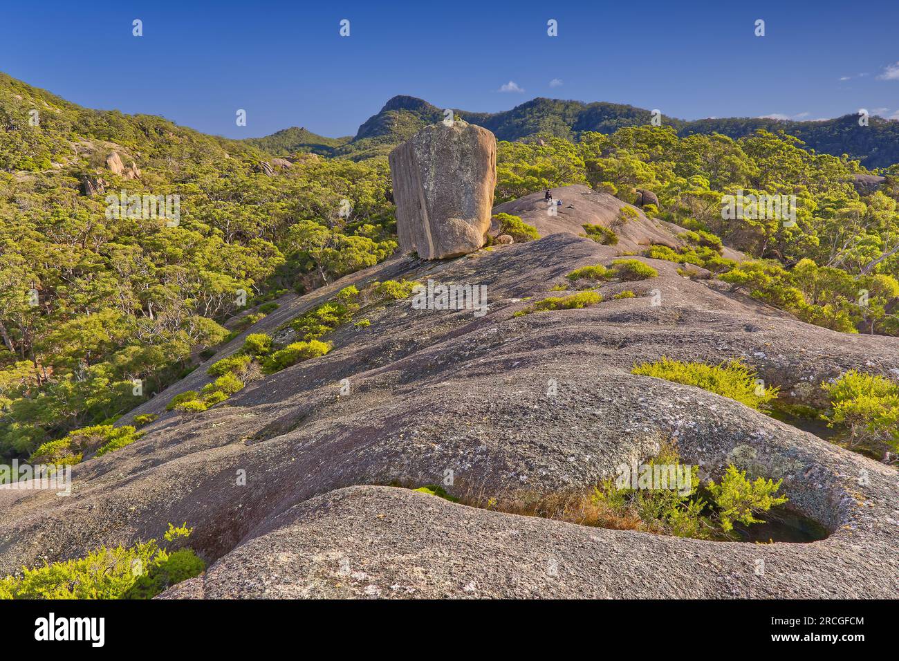 Formazione di granito gigante Cube Rock nella riserva di Mount Campbell vicino a Gladstone, Tasmania, Australia Foto Stock