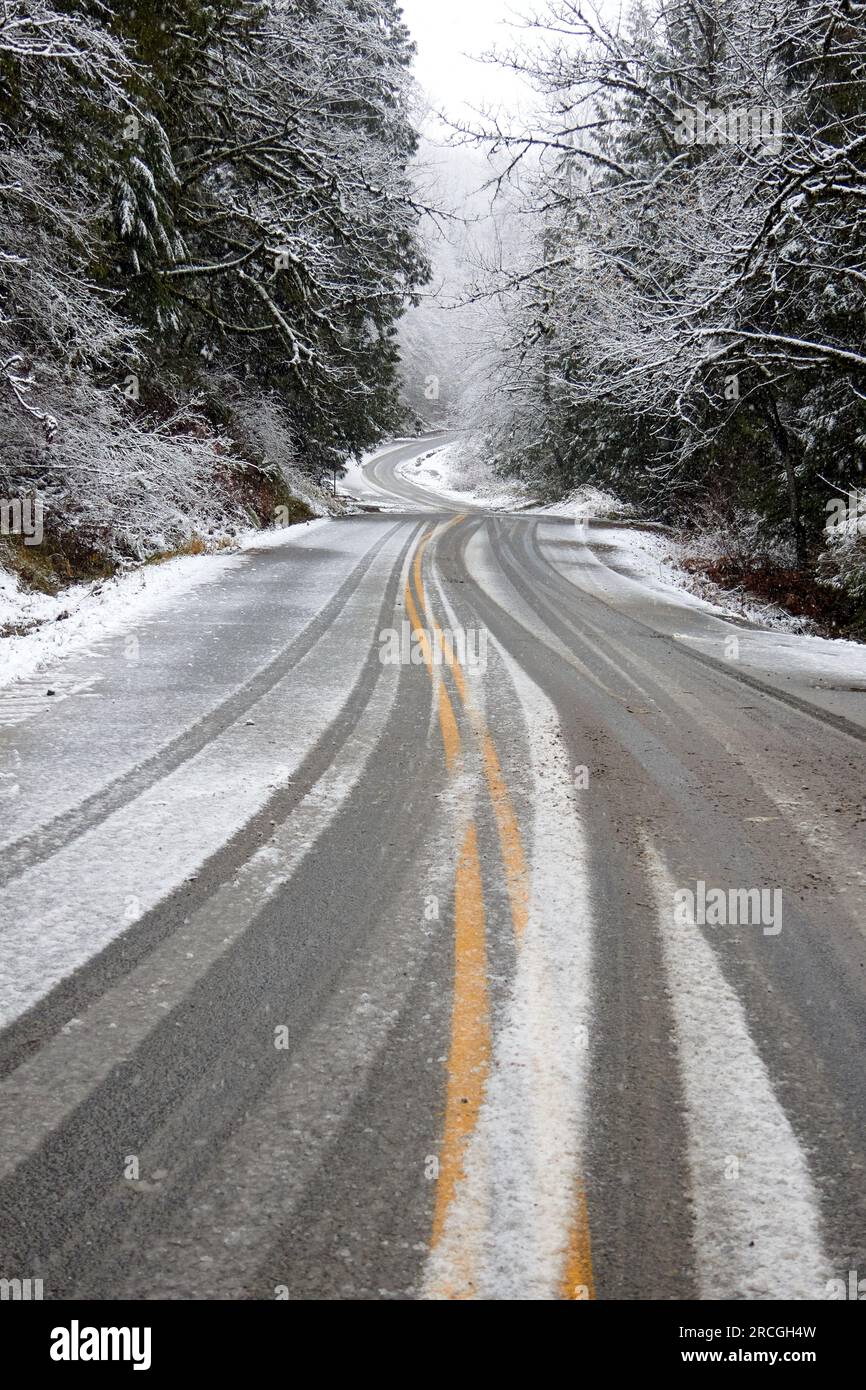 Una strada vuota con piste innevate sul marciapiede circondata da alberi innevati. Foto Stock