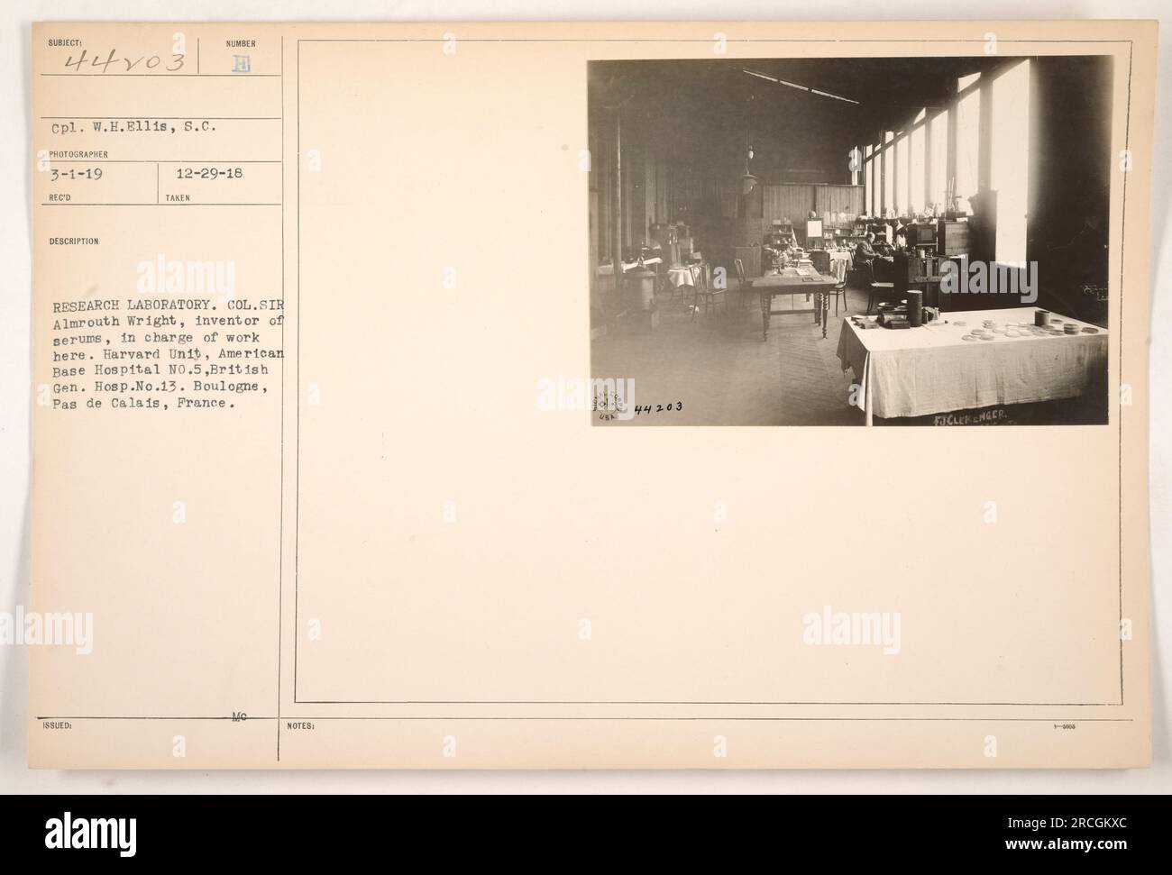 CPL. W.H. Ellis, un fotografo, ha scattato questa immagine il 1 marzo 1919 al laboratorio di ricerca di Boulogne, in Francia. La fotografia raffigura il colonnello Sir Almroth Wright, l'inventore dei sieri, che sovrintende al lavoro. Erano presenti anche l'unità di Harvard dell'American base Hospital No.5 e il British General Hospital No.13. Figure degne di nota sono Figley e Linger. Foto Stock