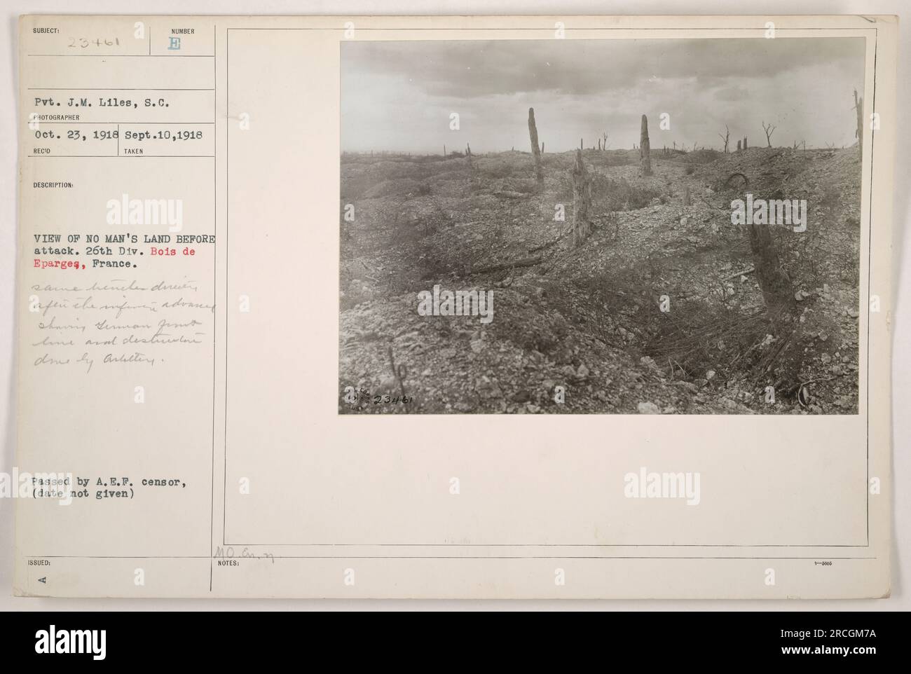 Pvt. J.M. Liles del Signal Corps catturò questa fotografia il 10 settembre 1918, nel Bois de Eparges, in Francia. L'immagine mostra una vista di "Terra di nessuno" appena prima di un attacco. L'impatto distruttivo del fuoco d'artiglieria da parte degli Alleati può essere visto nel paesaggio devastato. Questa fotografia è stata approvata dalla censura dell'American Expeditionary Force. Foto Stock