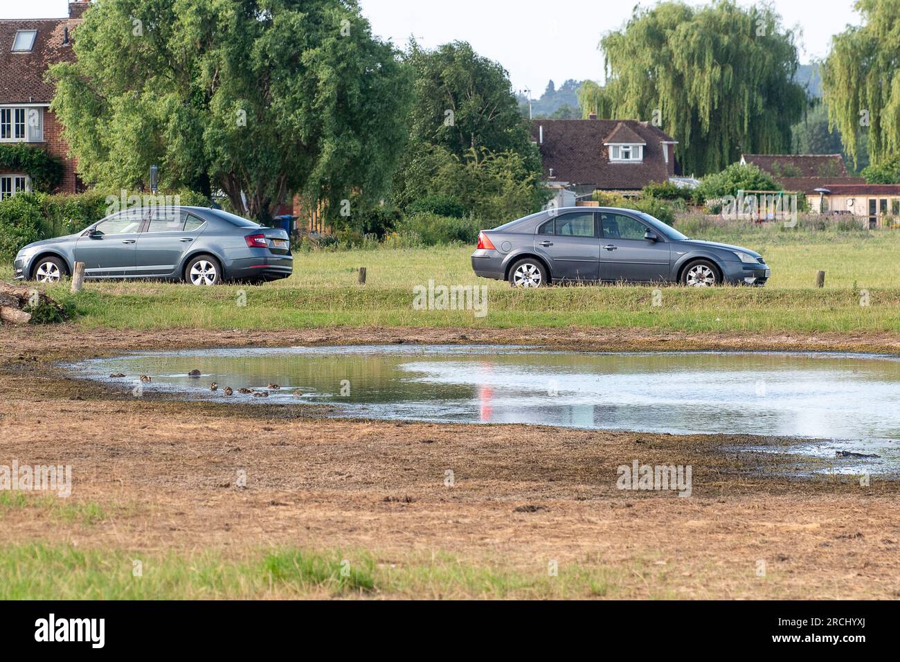 Dorney, Buckinghamshire, Regno Unito. 2 luglio 2023. Le acque alluvionali rimangono a Dorney Common con grande frustrazione degli abitanti del villaggio che vivono a Colenorton Crescent nella vicina Eton Wick. Gli abitanti del villaggio riferiscono che stanno ricevendo un "puzzo di acque reflue”, soprattutto la sera. L'acqua del Tamigi può essere scaricata nel canale Roundmoor accanto al comune; tuttavia, il monitoraggio della durata degli eventi mostra che l'ultima scarica nel canale Roundmoor è avvenuta a gennaio. Una parte dell'acqua alluvionale sta ora cominciando a calare, ma è stata particolarmente negativa nelle ultime settimane nonostante la scarsa pioggia. Credito: Maureen Foto Stock