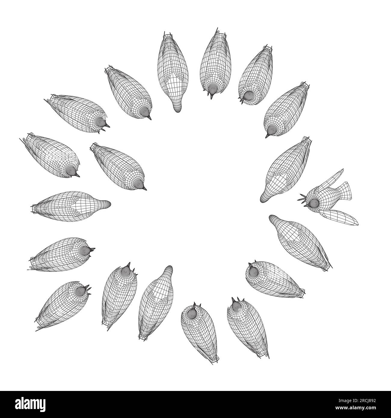 Pigeon Bird wireframe seduta. Design piatto dei personaggi dei cartoni animati. Icona di contorno uccello. Carino modello piccione. Illustrazione vettoriale isolata su sfondo bianco Illustrazione Vettoriale