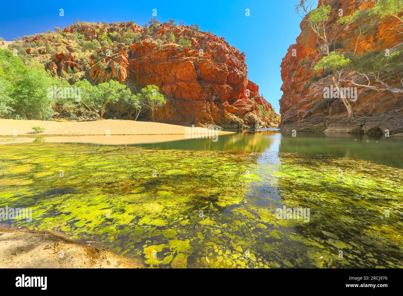 Ellery Creek Big Hole è un pozzo d'acqua permanente e un sito geologico con scogliere rosse nel West MacDonnell National Park, a 80 km da Alice Springs Foto Stock