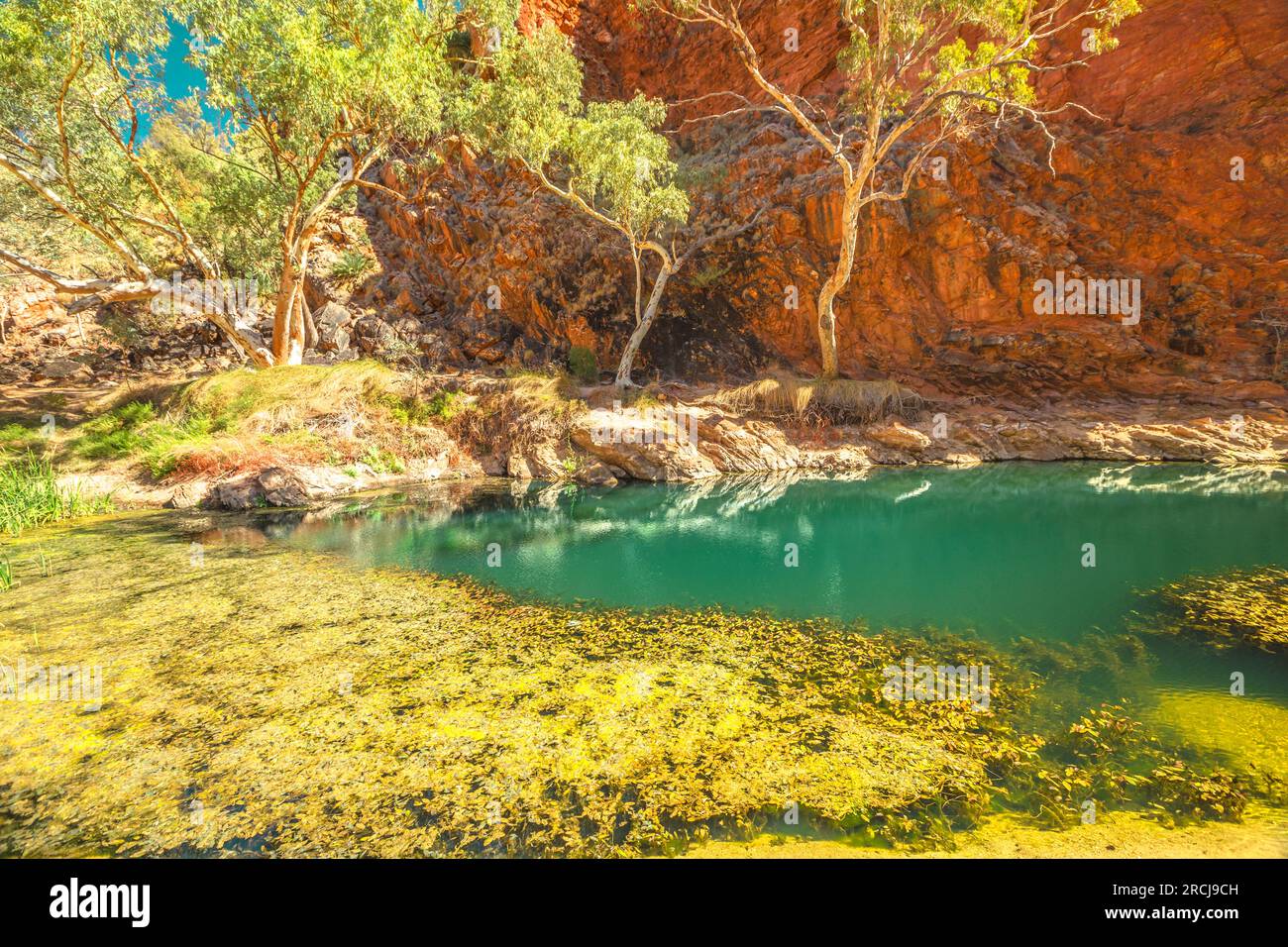 Waterhole permanente Ellery Creek Big Hole e sito geologico con scogliere rosso in West MacDonnell National Park, 80km da Alice Springs, settentrionale Foto Stock