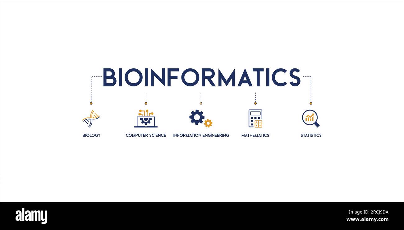 Moderno set di icone di illustrazione vettoriale di concetto di bioinformatica con parole chiave inglesi e icona di biologia, informatica, ingegneria informatica Illustrazione Vettoriale