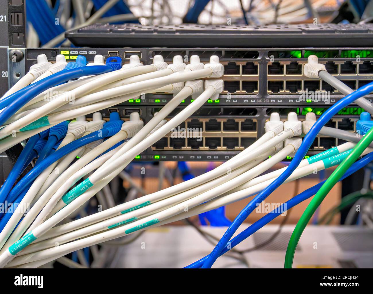 Cavi Ethernet collegati all'apparecchiatura di rete Foto Stock