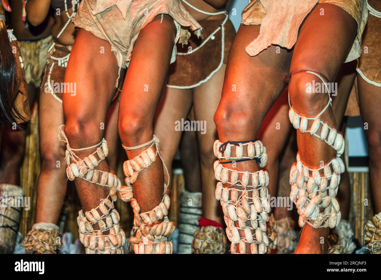 Gli strumenti musicali suonano le gambe tradizionalmente indossati dai ballerini del Botswana agli spettacoli Foto Stock