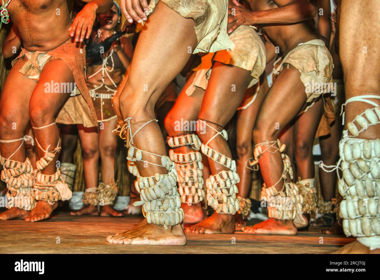 Gli strumenti musicali suonano le gambe tradizionalmente indossati dai ballerini del Botswana agli spettacoli Foto Stock