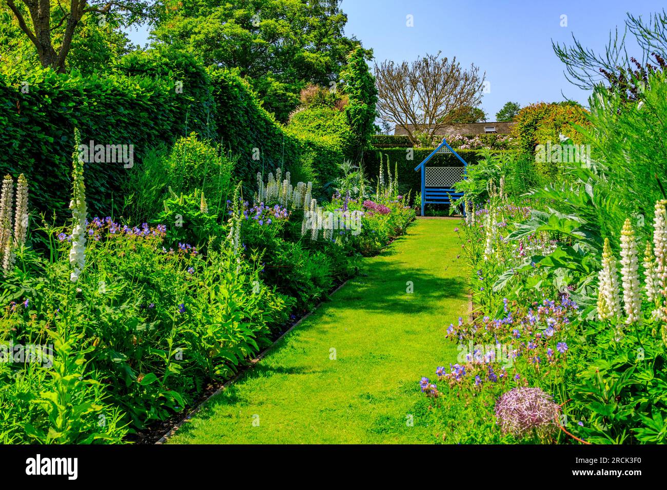 Un'attraente tavolozza di blu e rosa nel Wedding Borders presso i giardini paesaggistici Holme for Gardens vicino a Wareham, Dorset, Inghilterra, Regno Unito Foto Stock