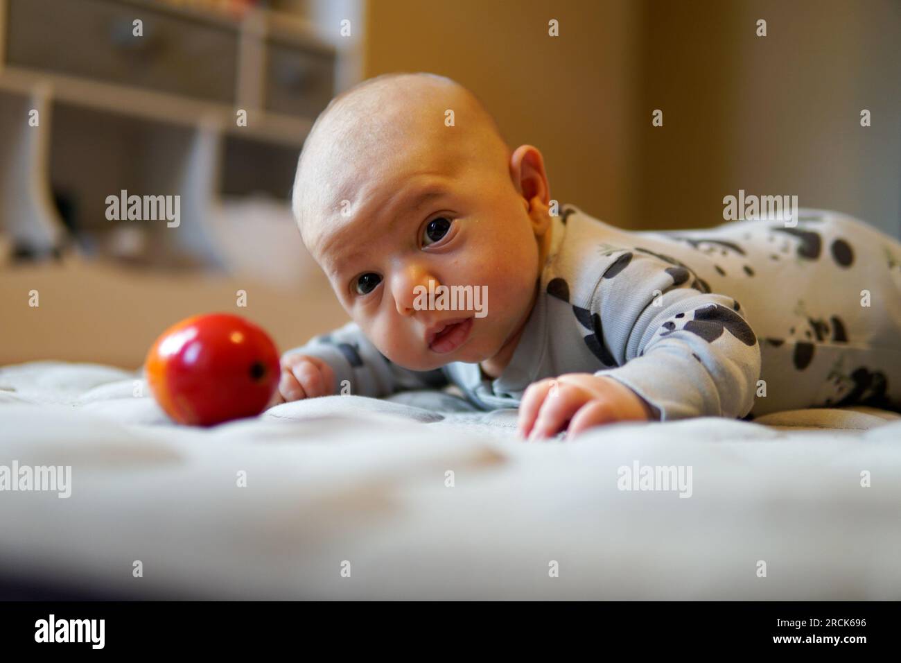 Un bambino di un mese Foto Stock