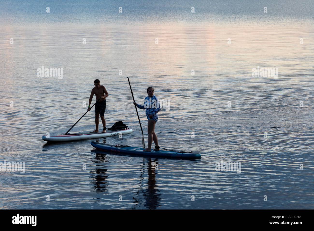 Donna e ragazzo in paddle board al tramonto nel lago. Golden Lake Ontario Canada Foto Stock